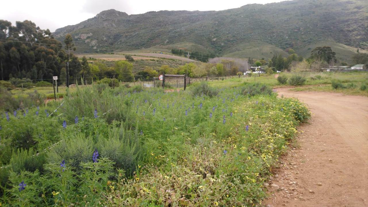 Villa Brambleberry Farm Riebeek-Kasteel Exterior foto